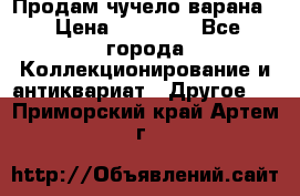Продам чучело варана. › Цена ­ 15 000 - Все города Коллекционирование и антиквариат » Другое   . Приморский край,Артем г.